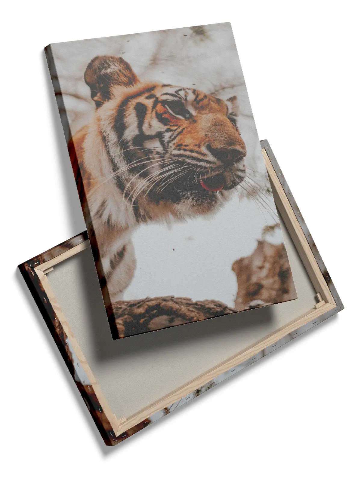 Bengal Tiger II Plakat