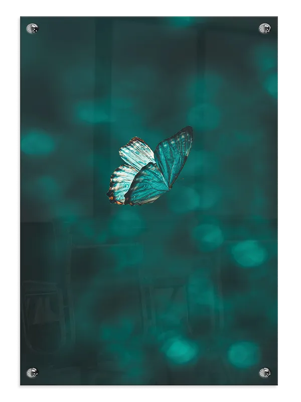 Blue Morpho Butterfly Plakat