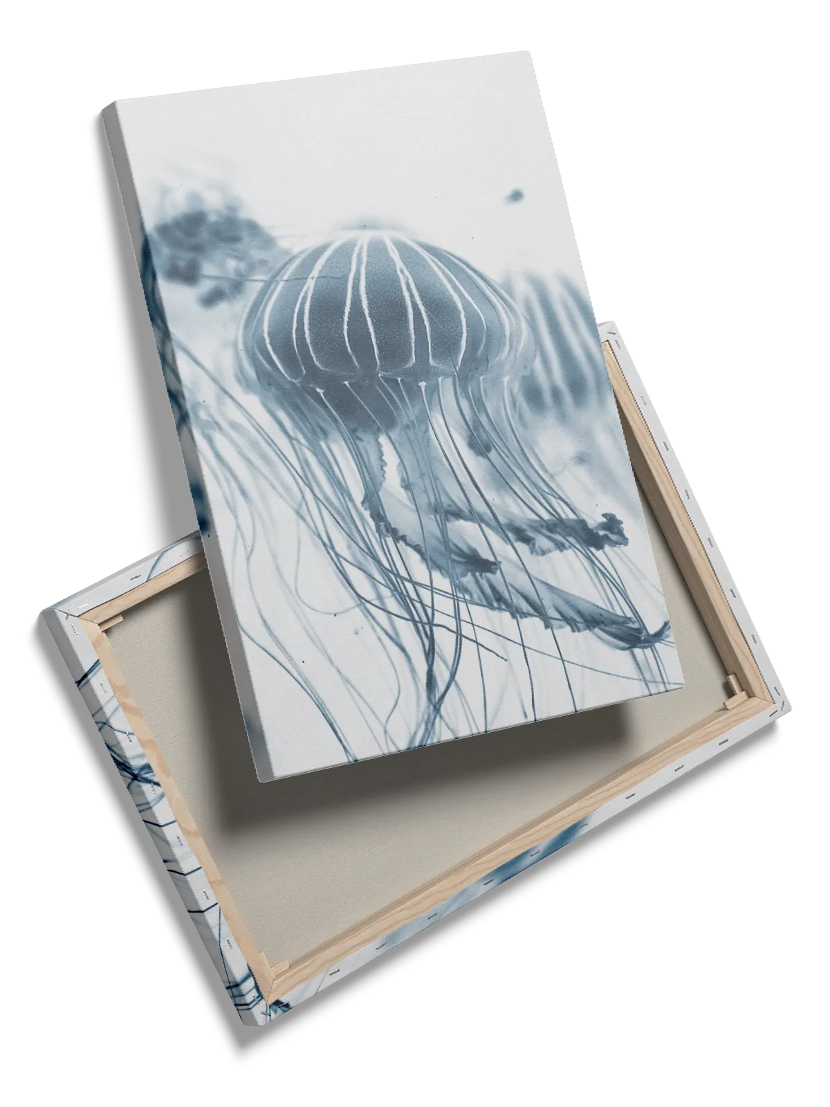 Jellyfish Blue Plakat