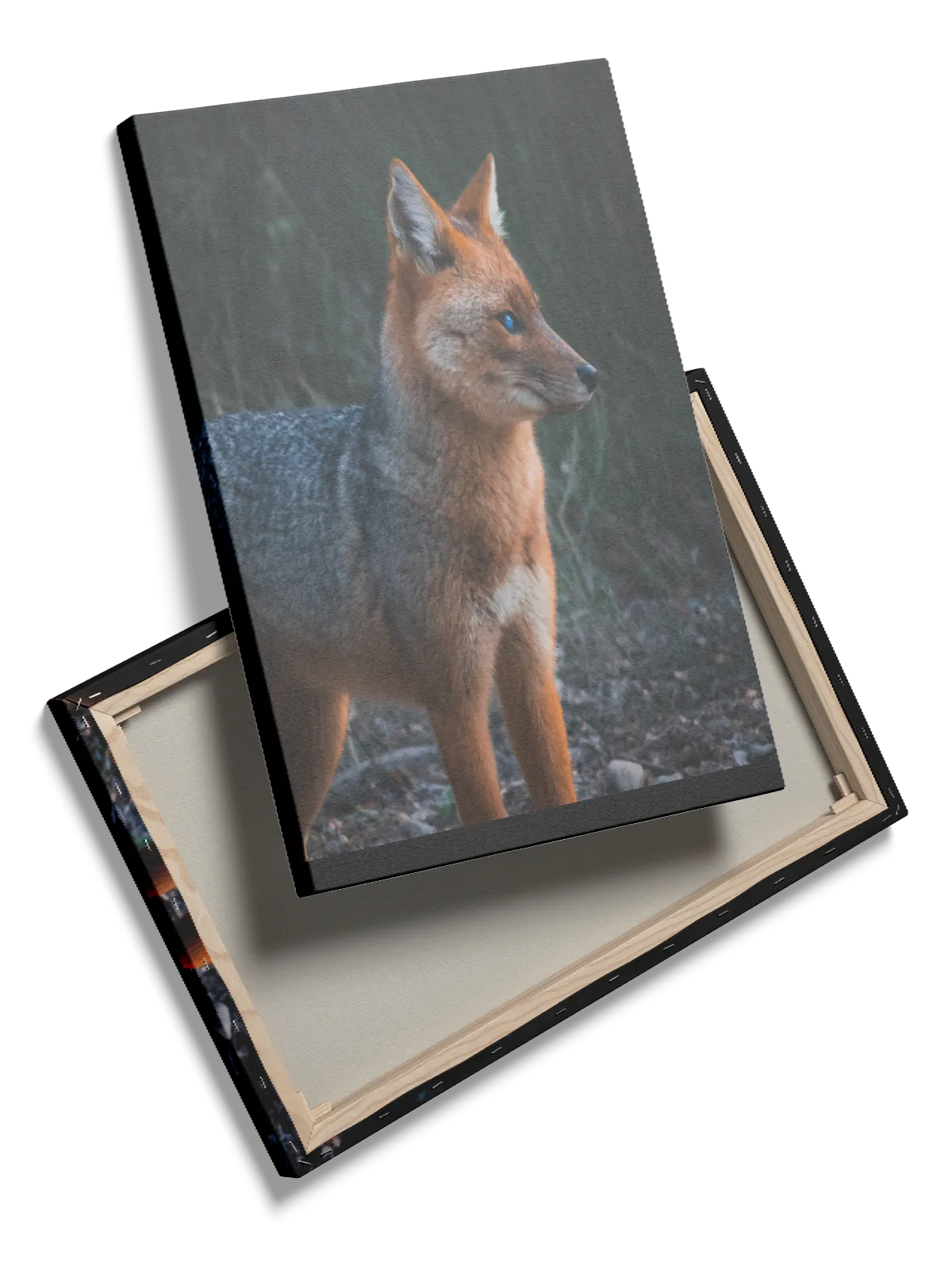 Maned Wolf Plakat