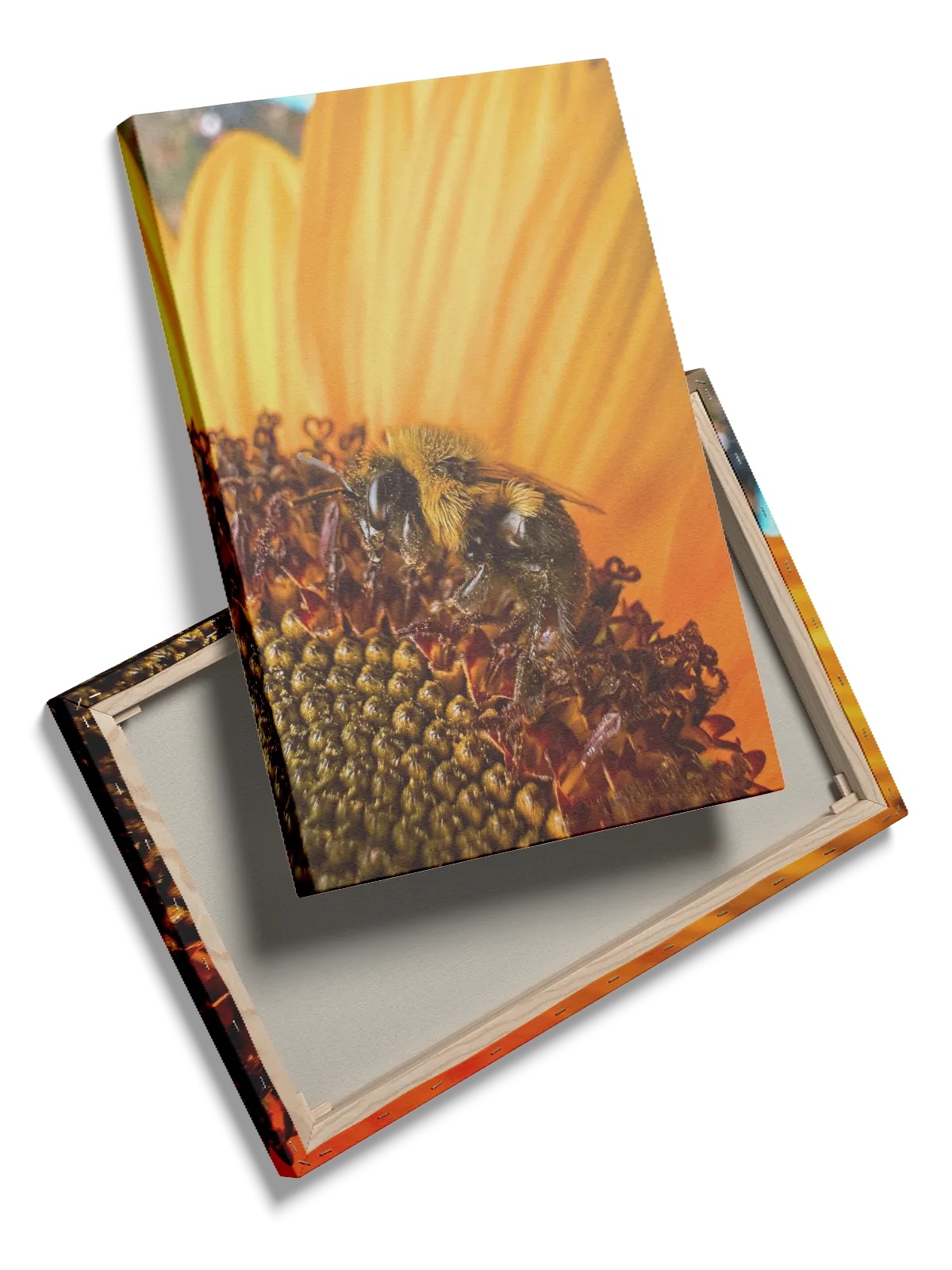 Bumblebee On Sunflower Plakat