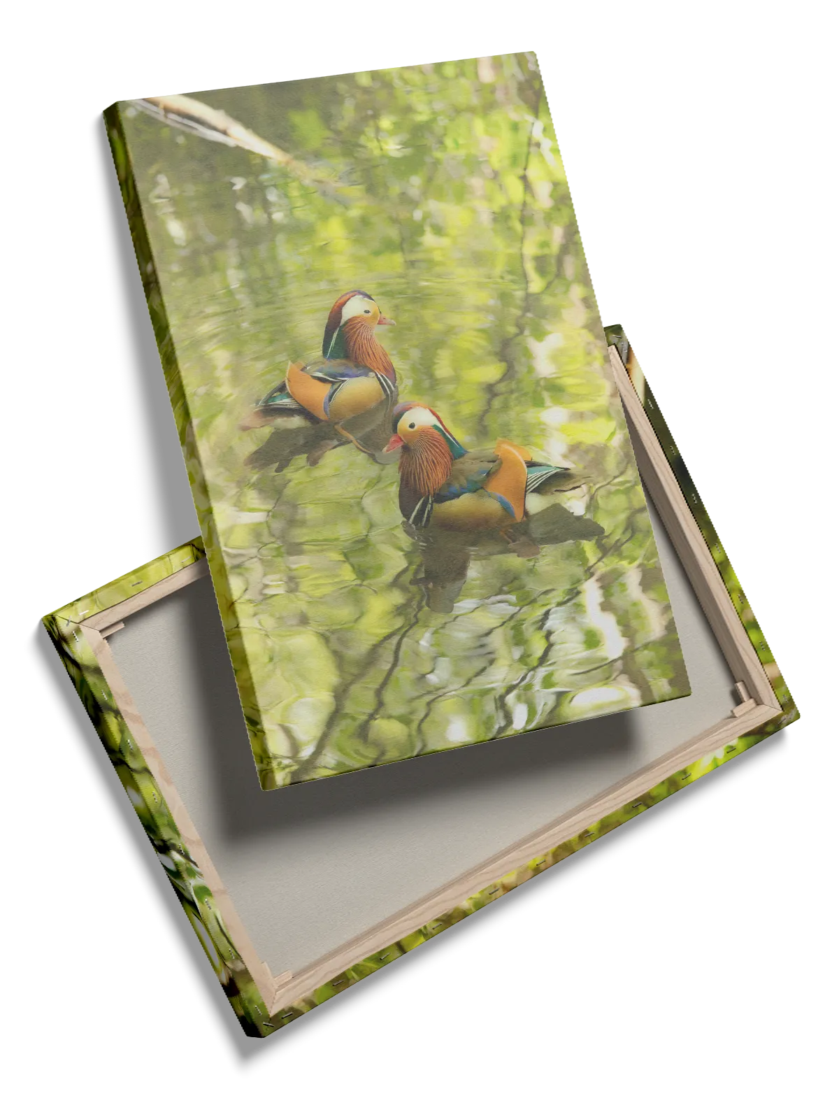 Ugle Mandarin Plakat