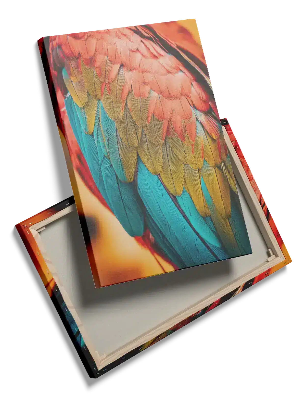Ugle Macaw Plakat