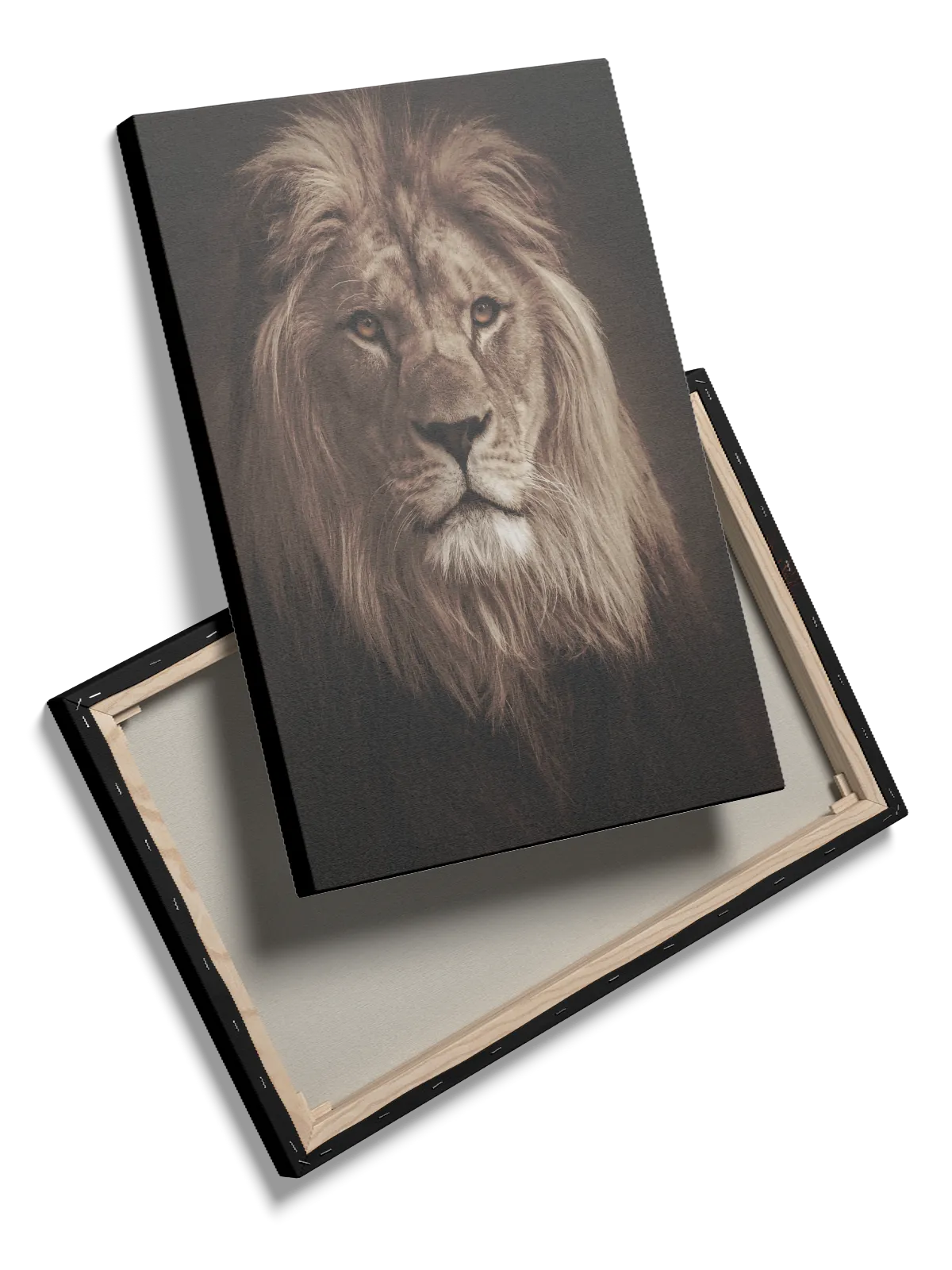 Lion Dark Plakat
