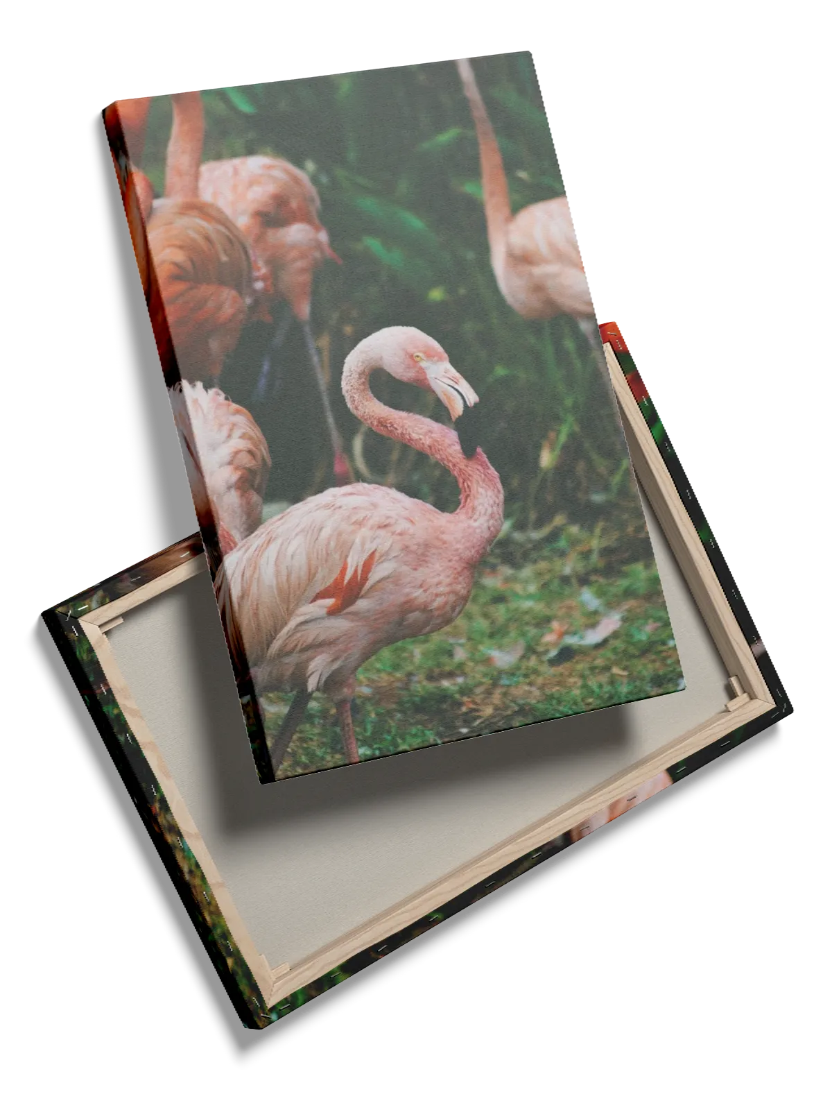 Flamingo Group Plakat