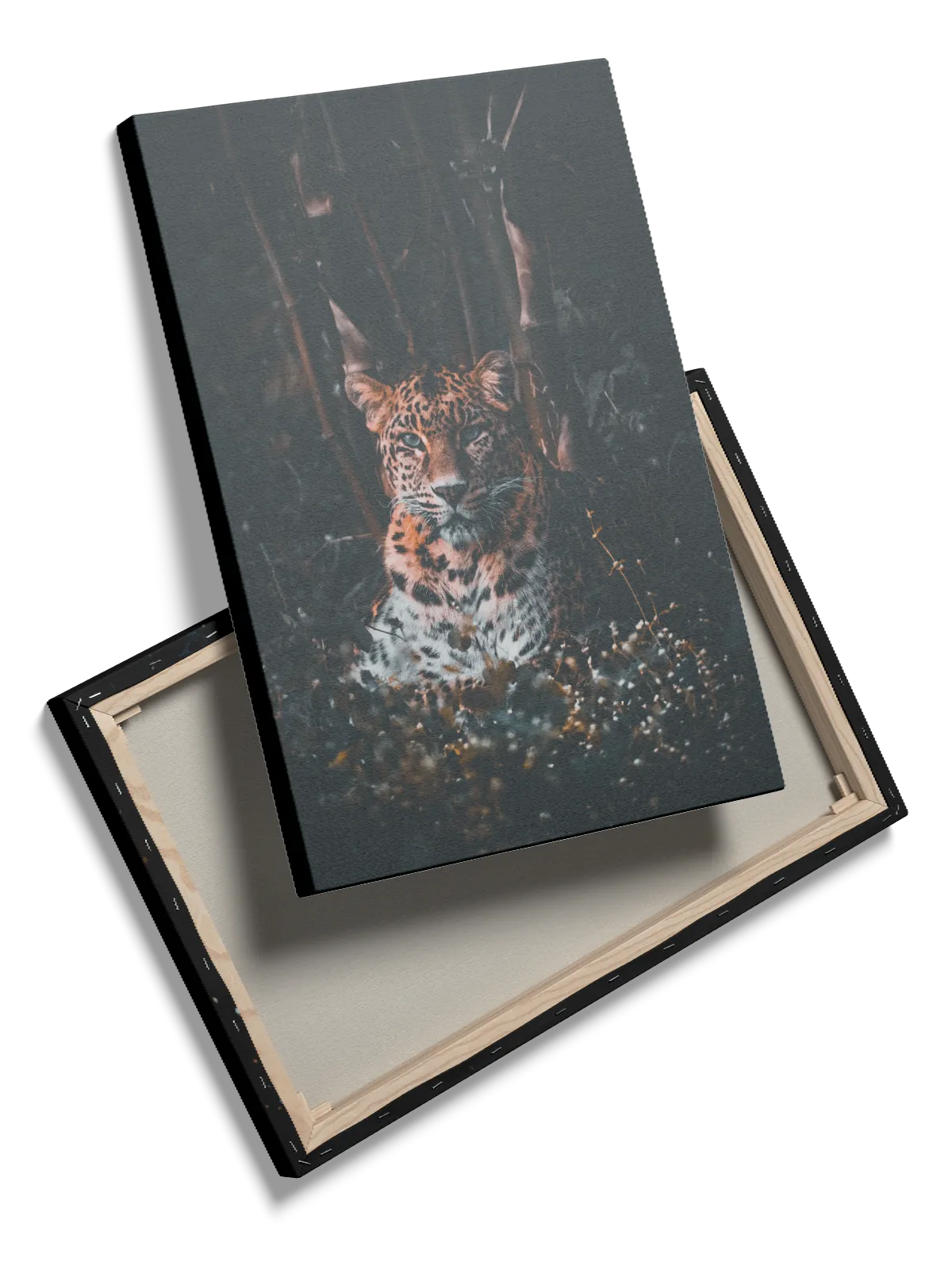 Leopard In Shadows Plakat