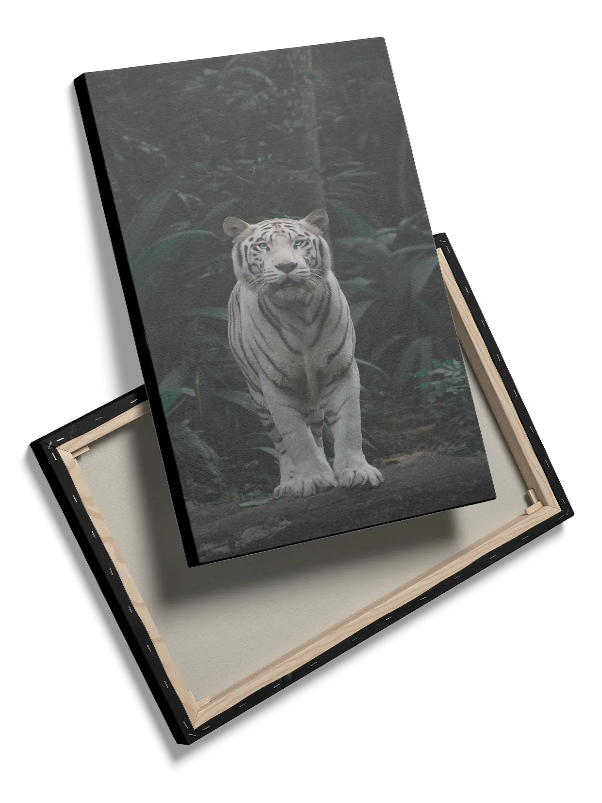 White Tiger Jungle Plakat