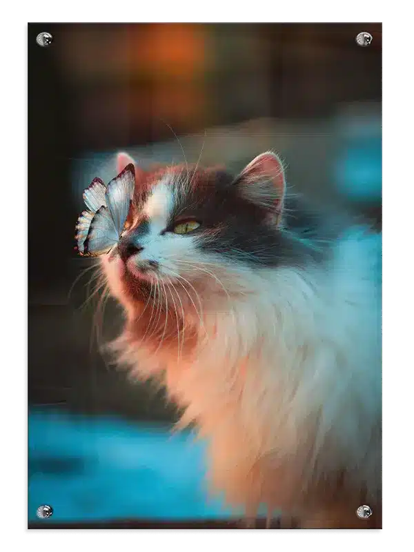 Longhair Cat Plakat