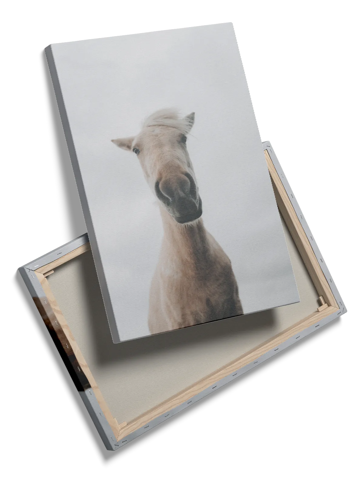 Light Horse Plakat