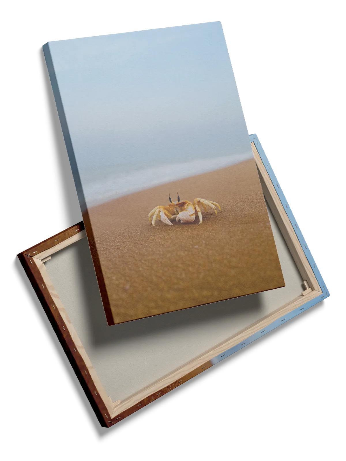 Ghost Crab Plakat