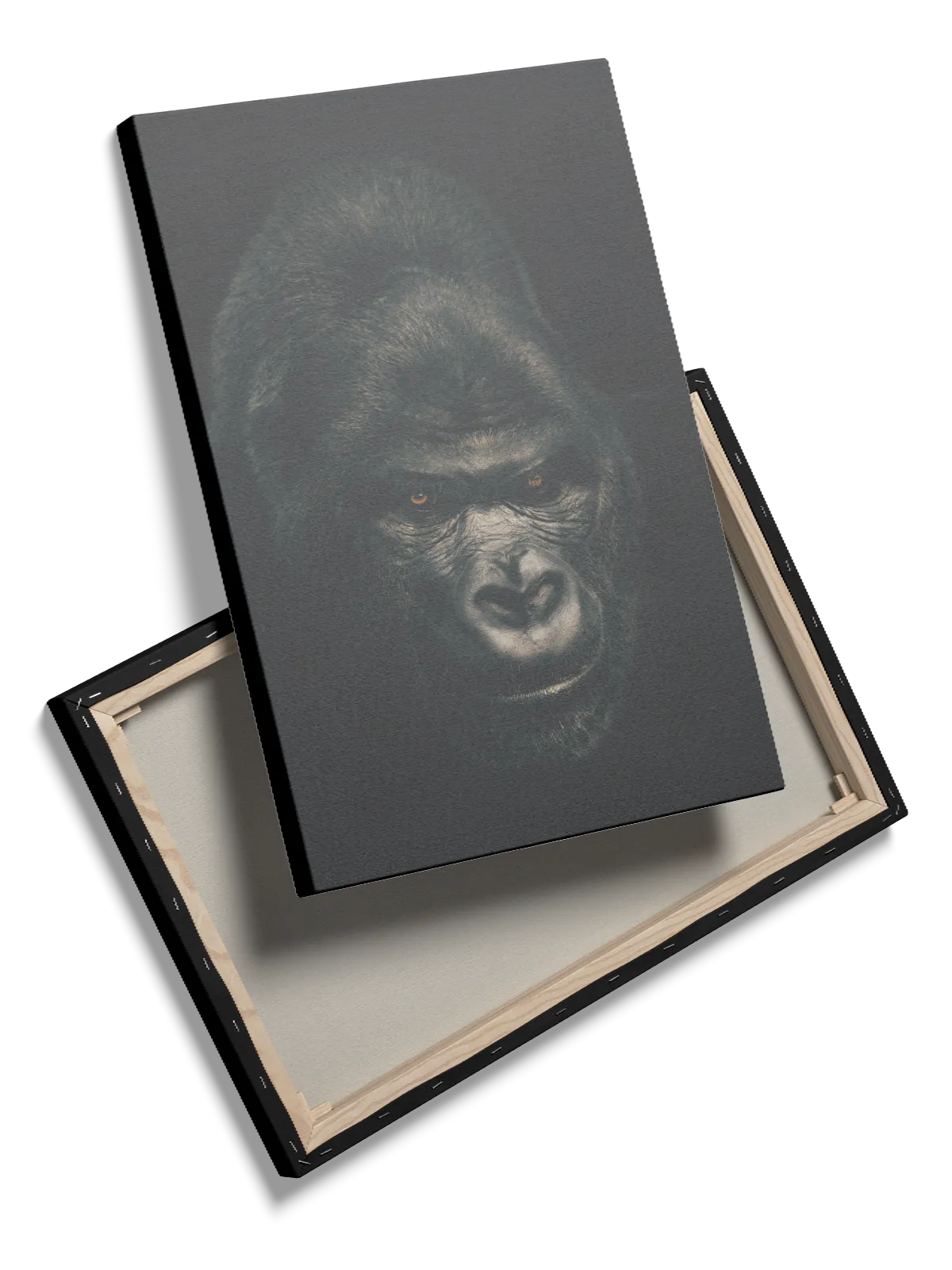 Silverback Gorilla II Plakat