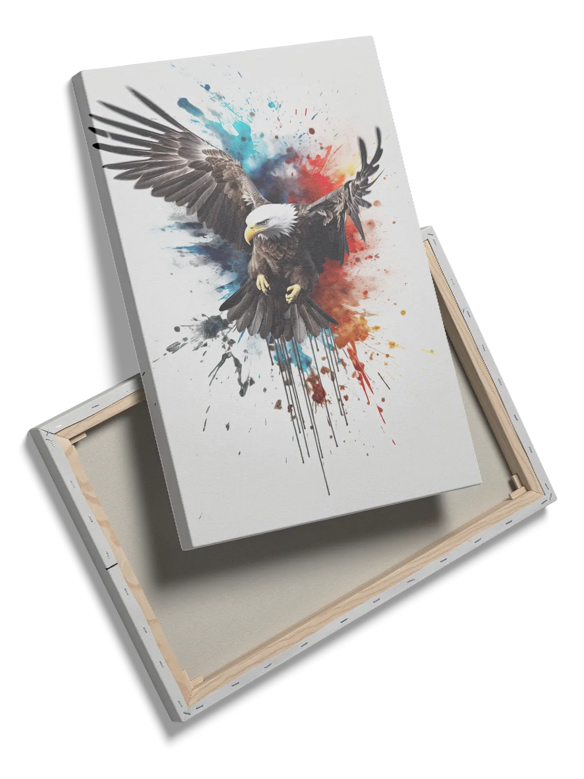 Bald Eagle Splash Plakat