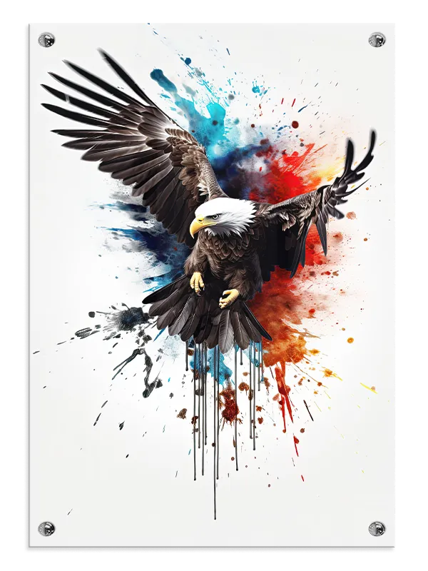 Bald Eagle Splash Plakat