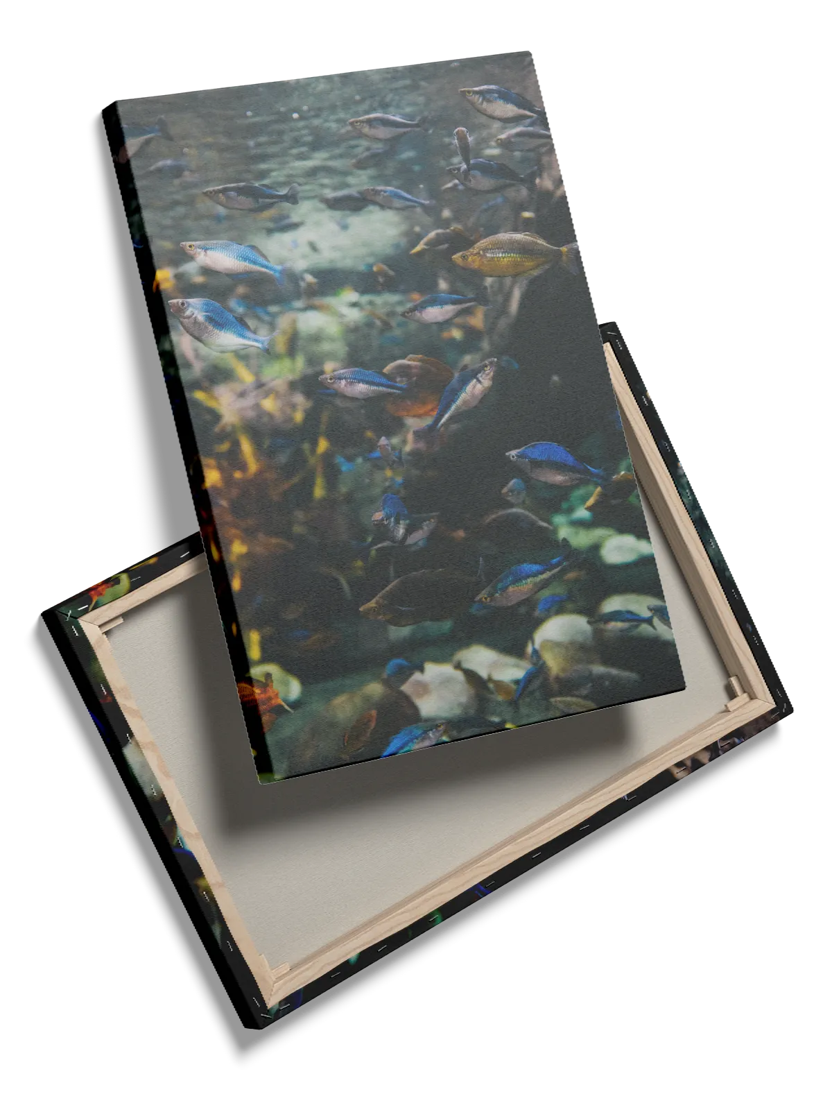 Tetra Fish School Plakat