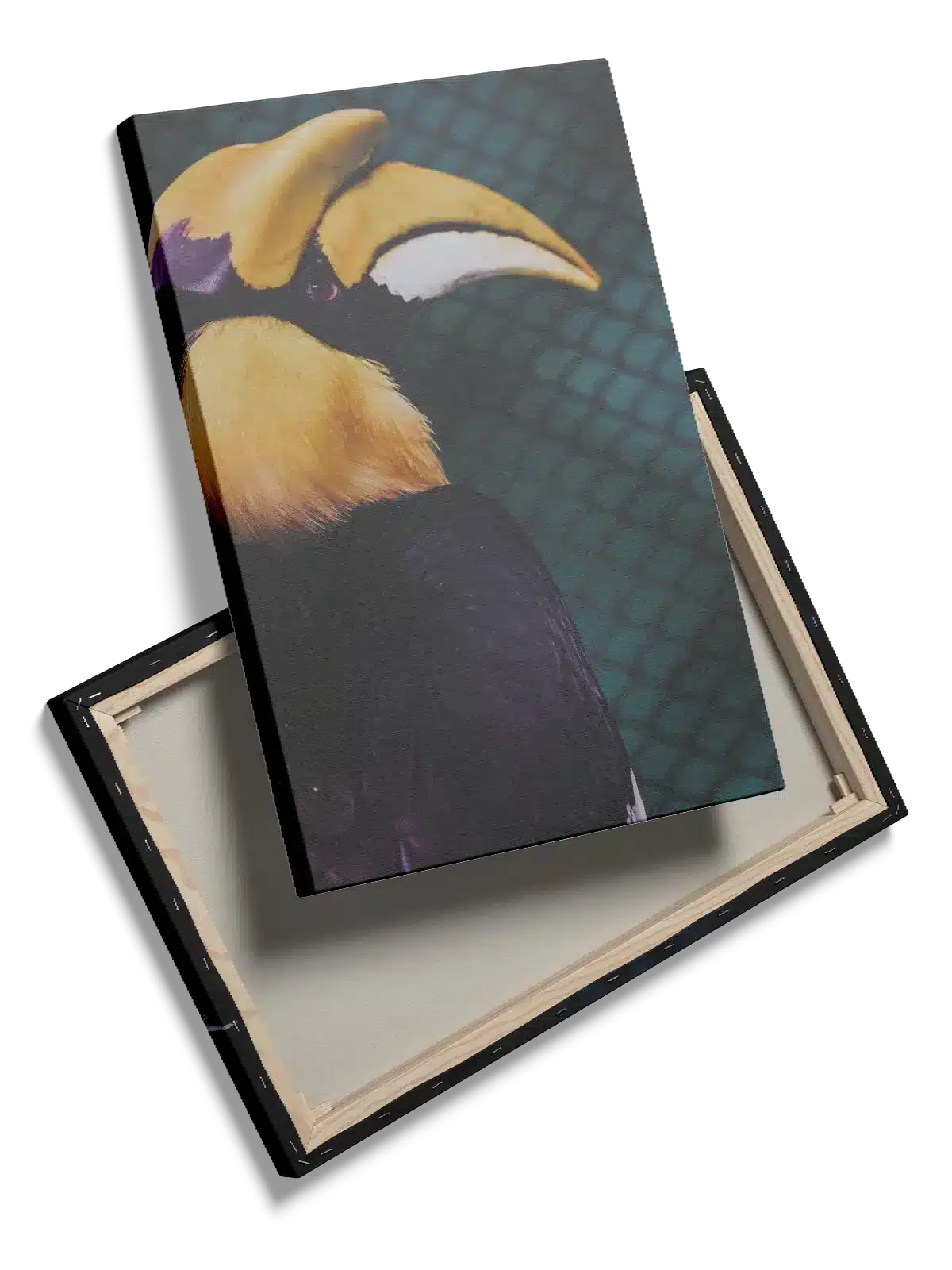 Great Hornbill Plakat