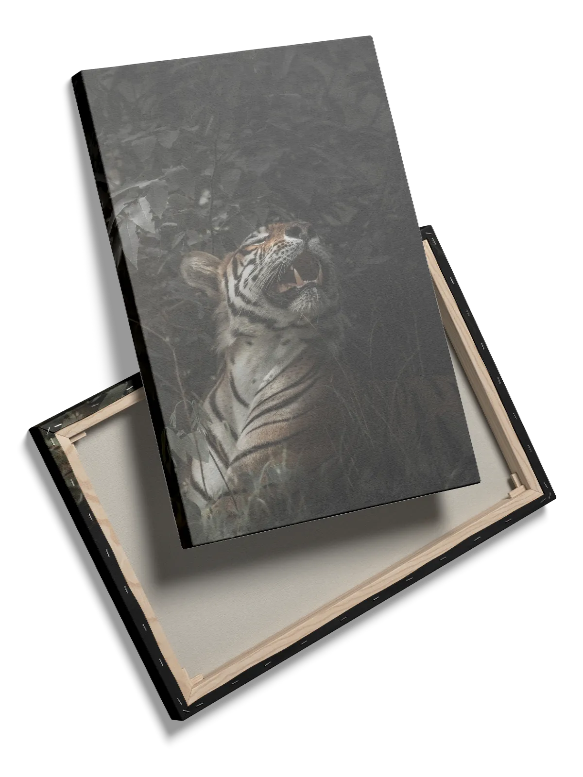 Tiger In Shadows Plakat