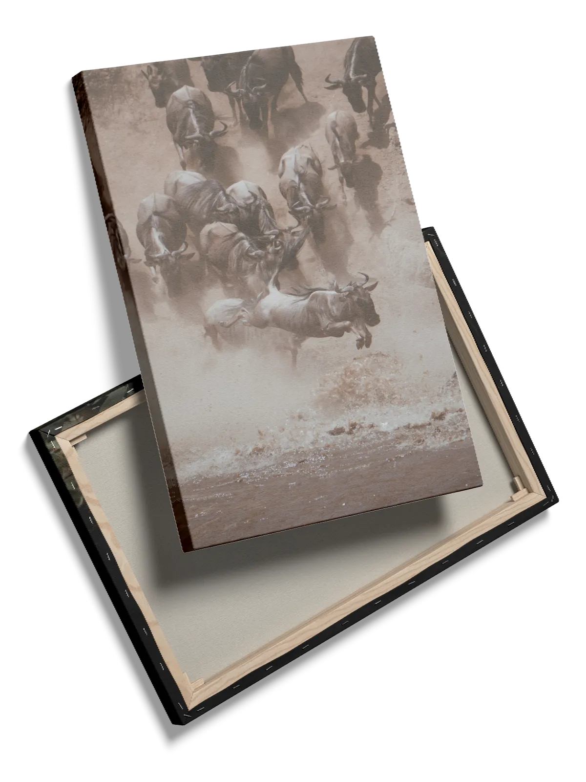 Wildebeest Crossing Plakat