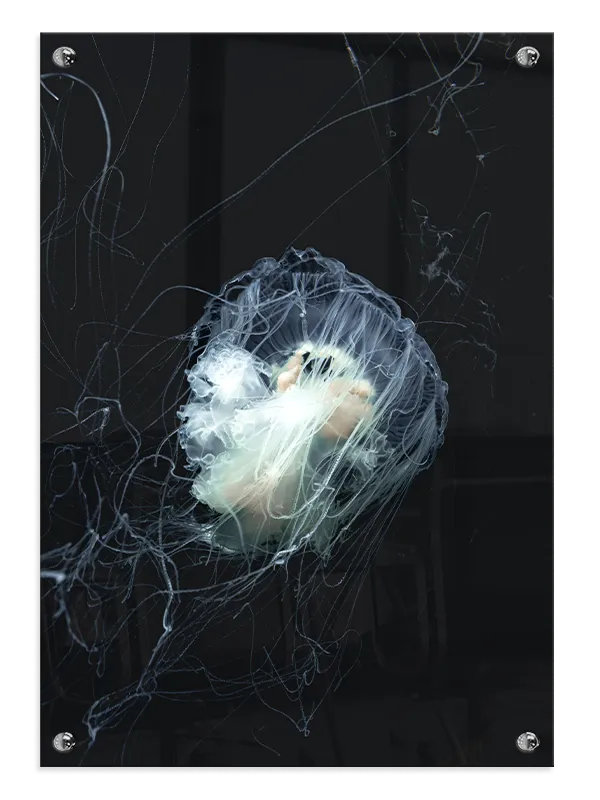 Jellyfish Luminescent Plakat