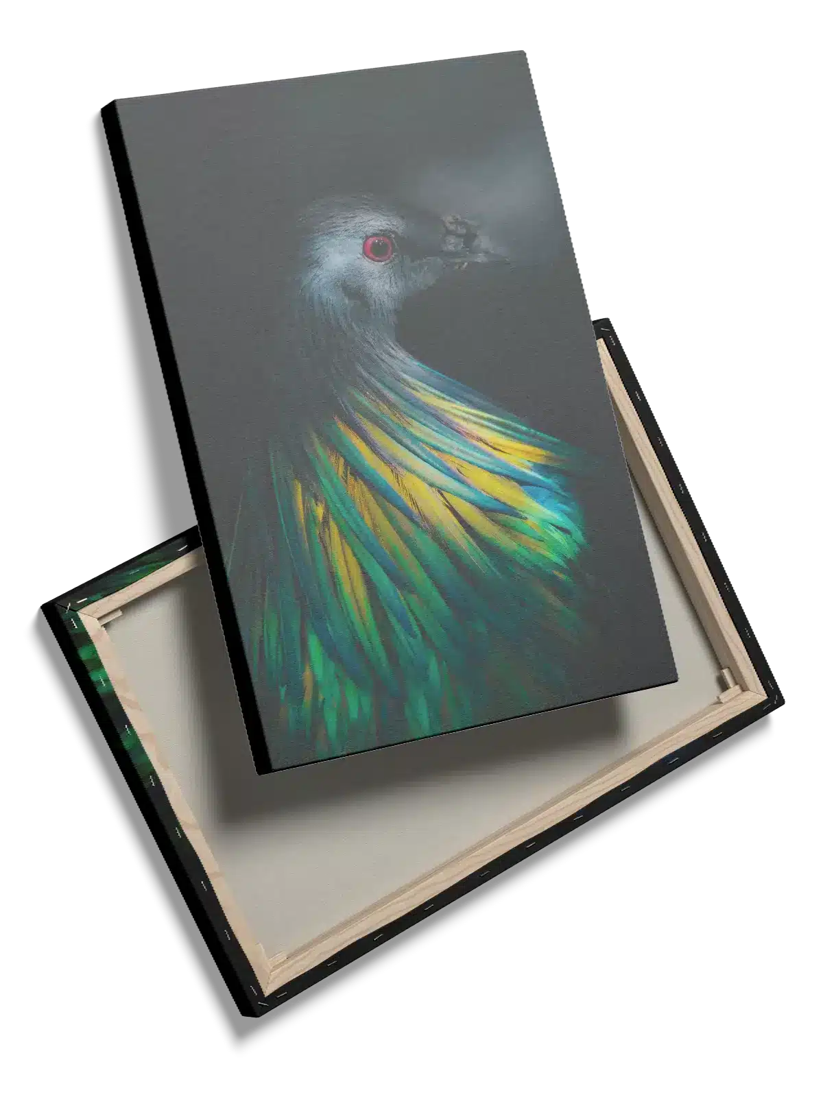 Nicobar Pigeon Plakat