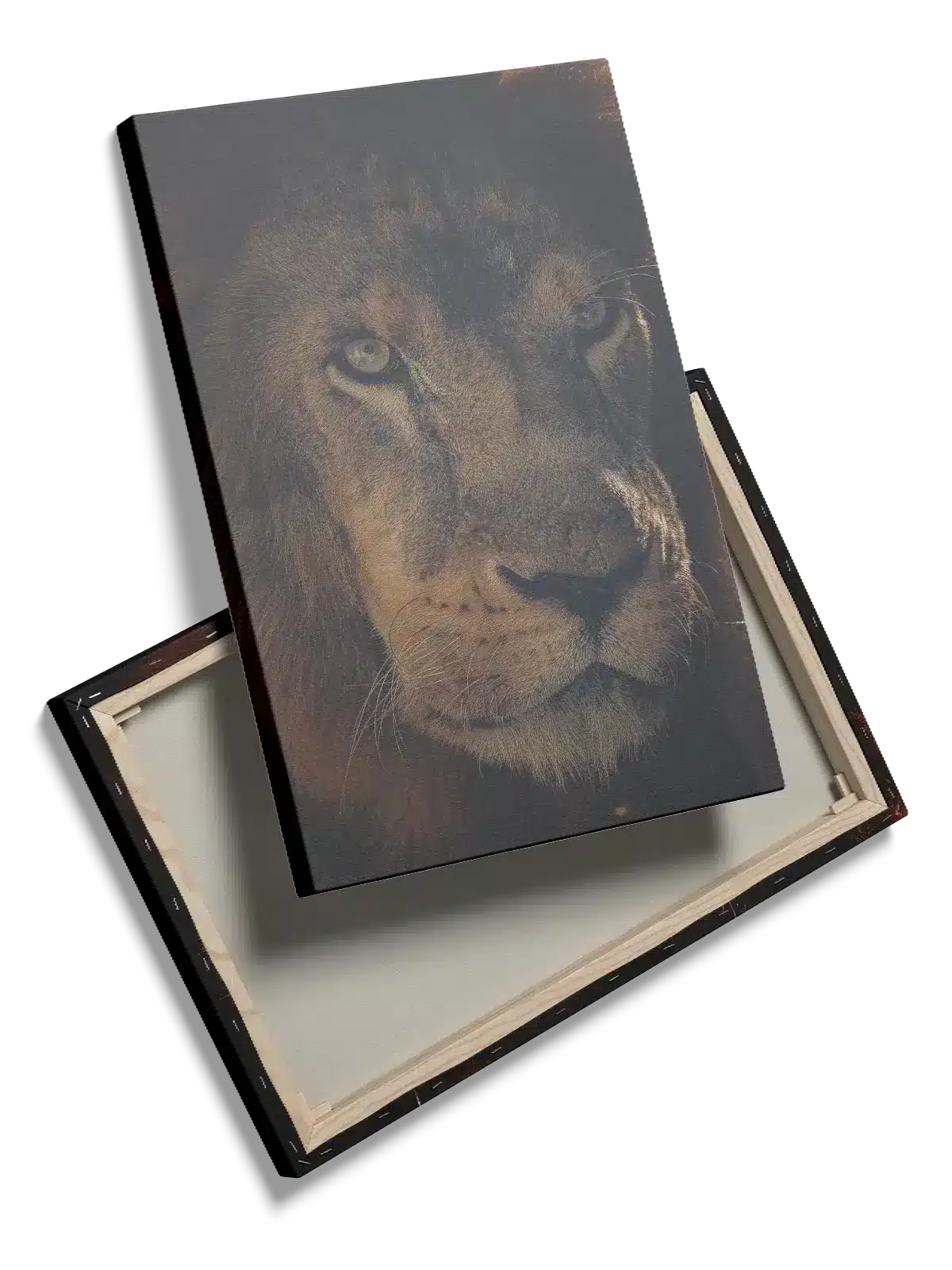 Lion Face II Plakat