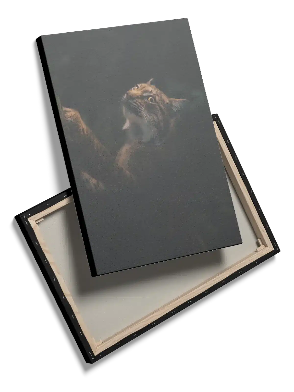 Ko Lynx Plakat