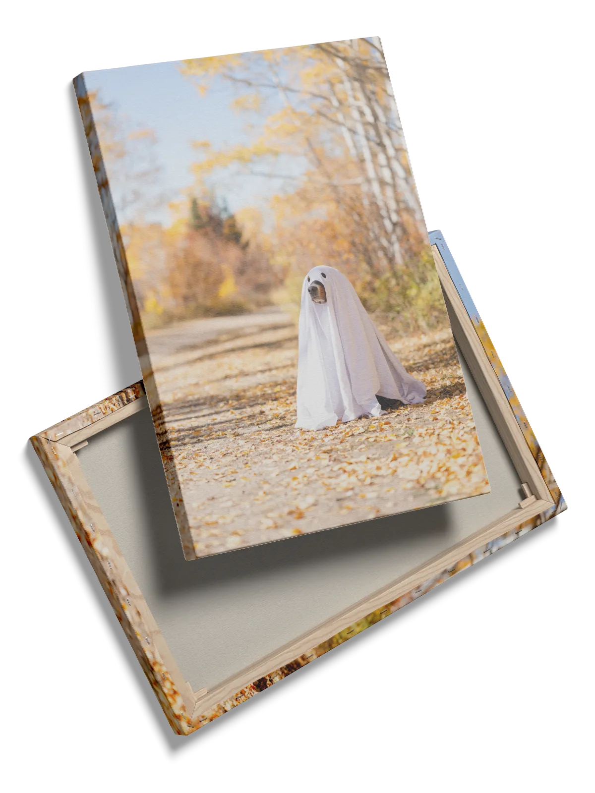 Dog In Ghost Costume Plakat