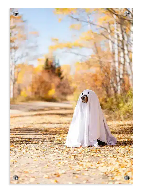 Dog In Ghost Costume Plakat