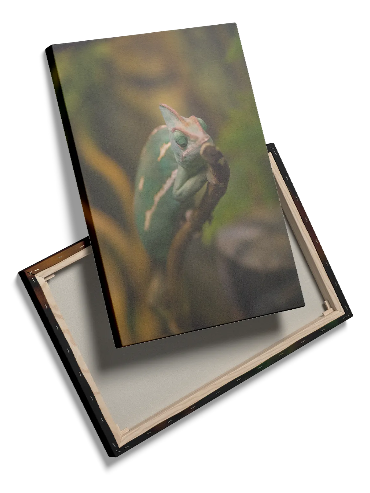 Bi Veiled Plakat
