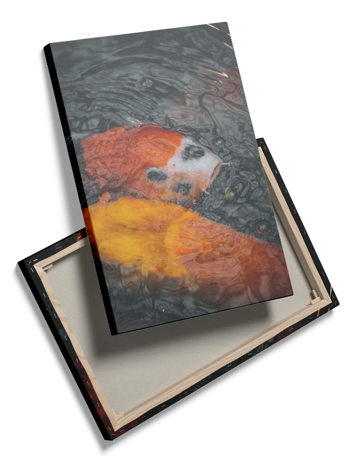 Koi Fish Duo Plakat