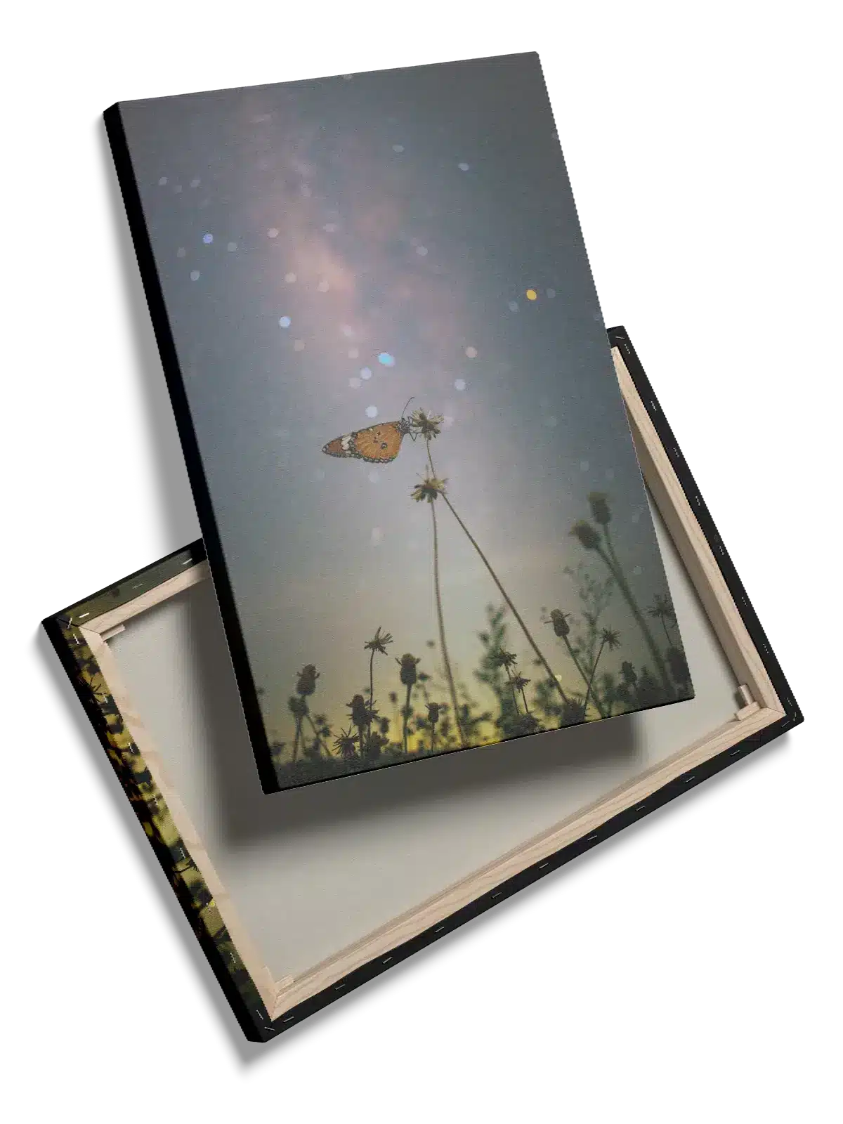 Monarch Butterfly Night Plakat