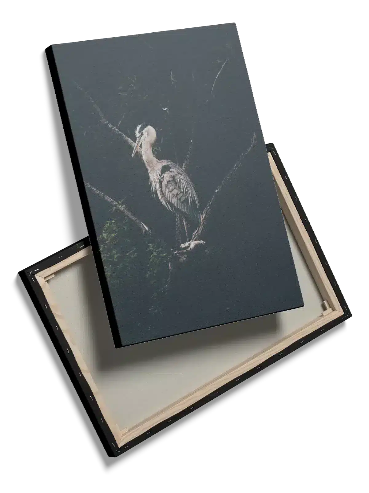 Ugle Heron On Branch Plakat