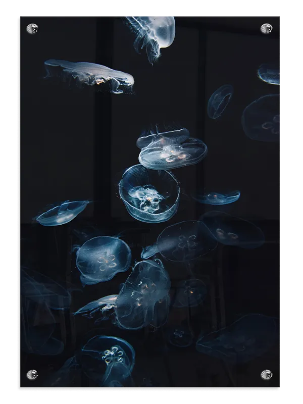 Moon Jellyfish Glow Plakat
