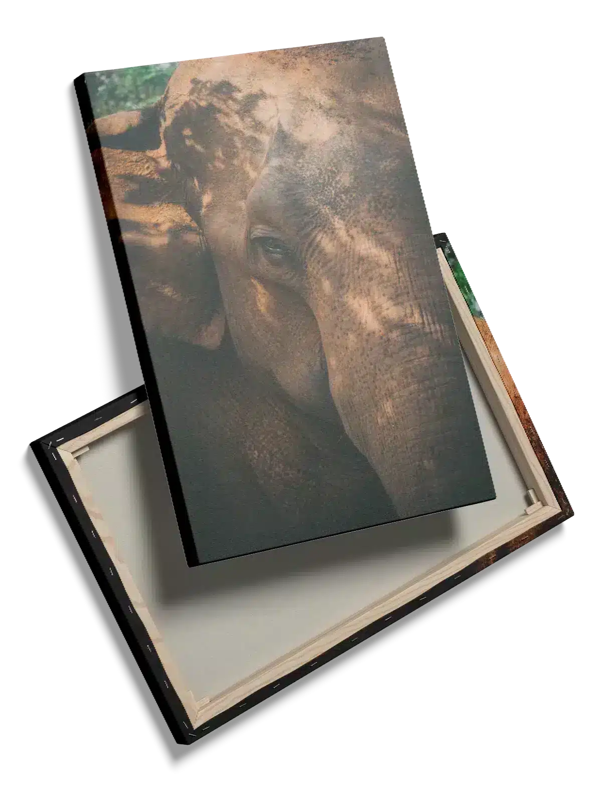 Elephant Closeup Plakat