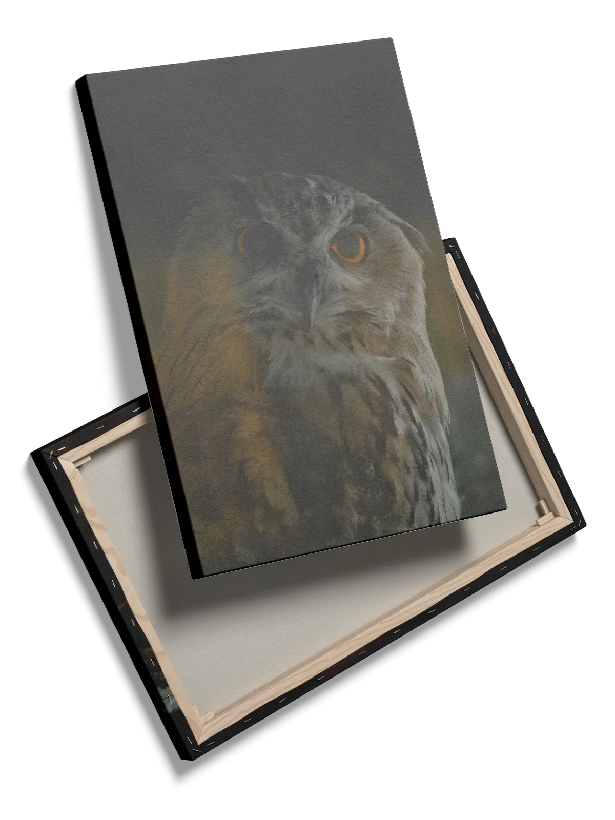 Eagle Owl No2 Plakat