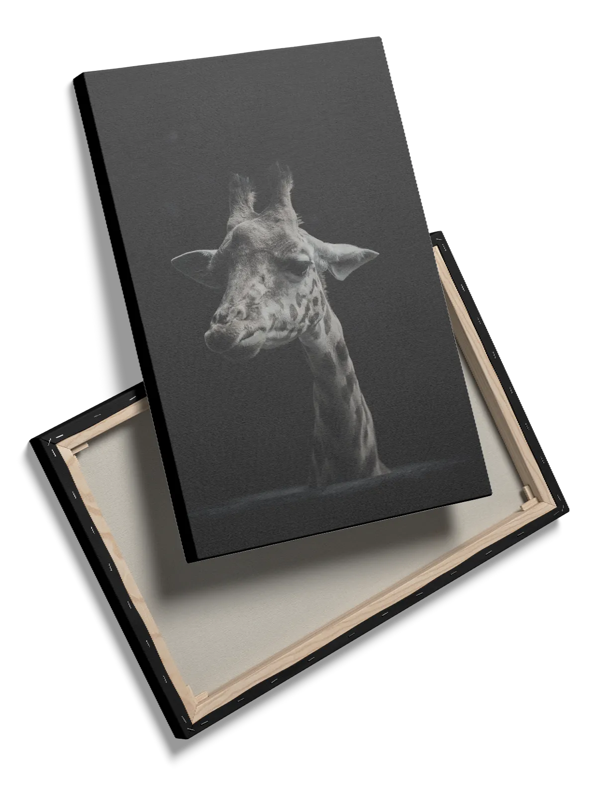 Giraffe Portrait Plakat