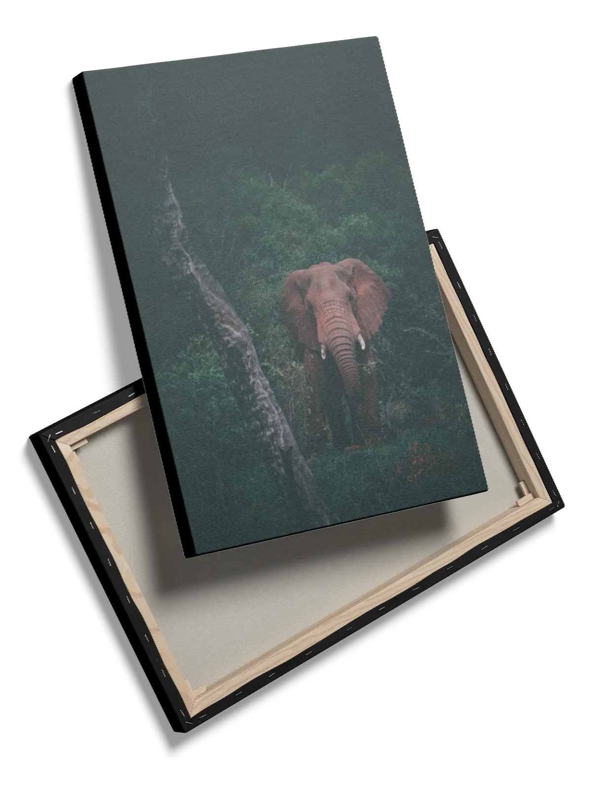 Elephant In Forest Plakat