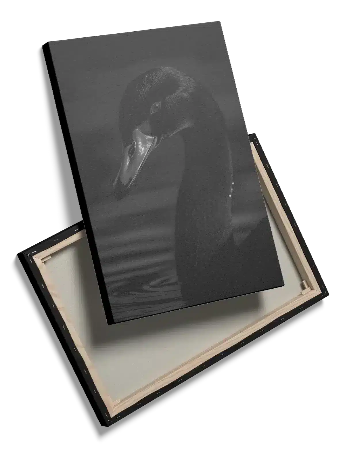 Black Swan Plakat
