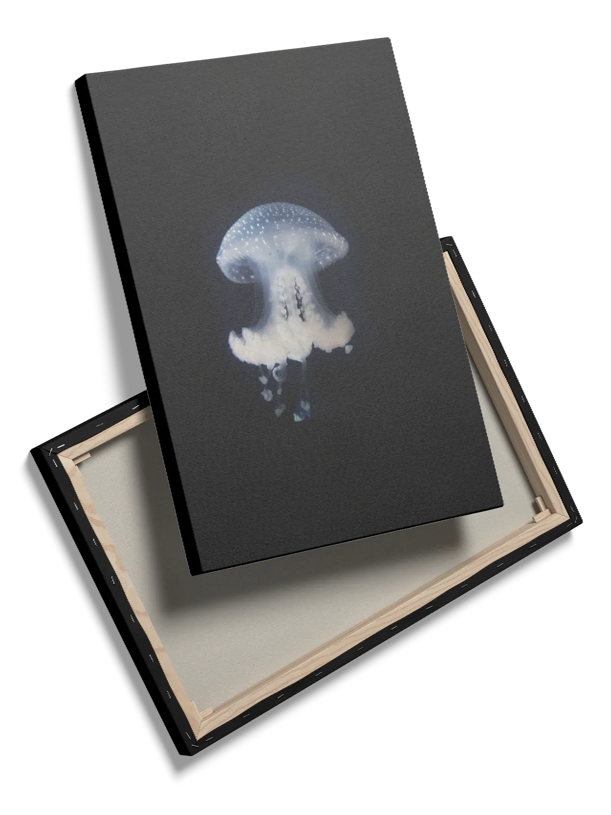 Spotted Jellyfish Plakat
