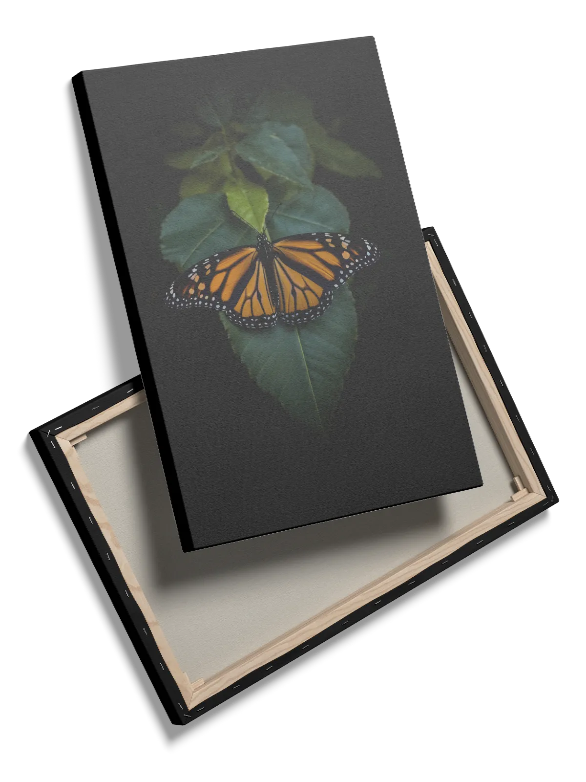 Monarch Butterfly Leaf Plakat