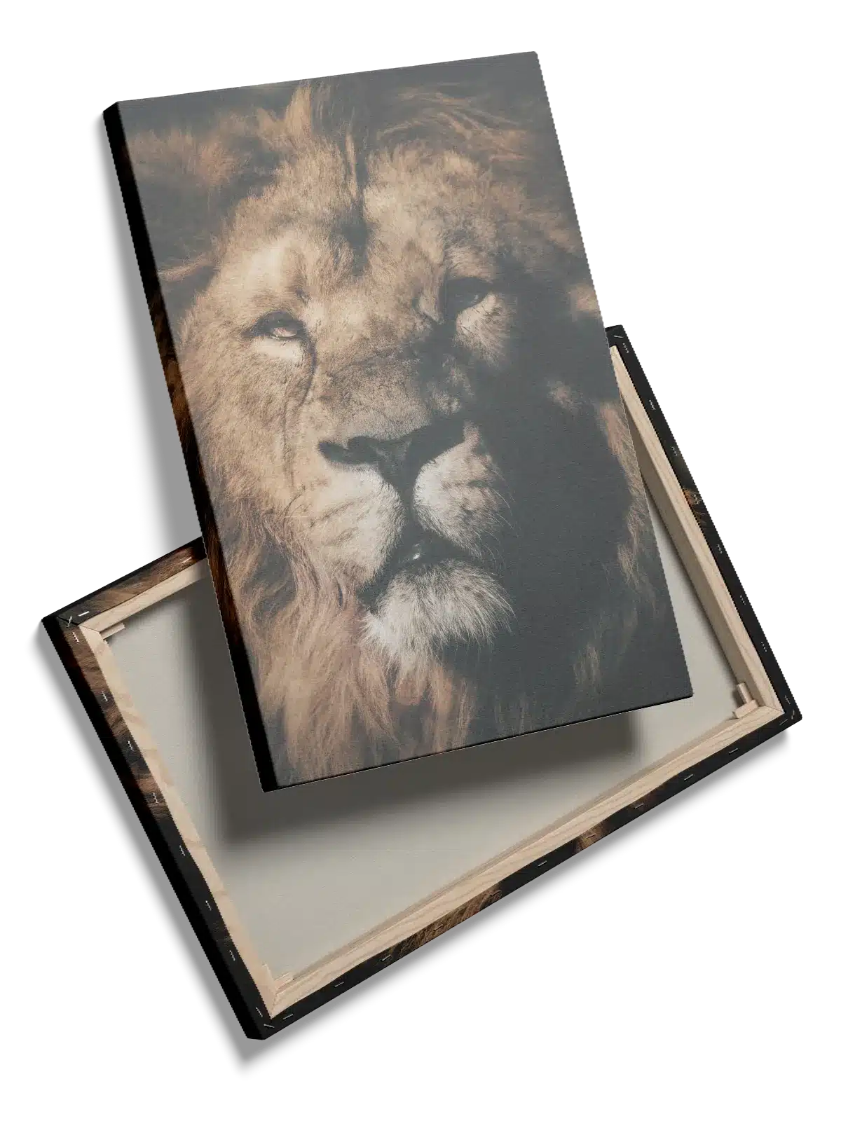 Lion Face III Plakat