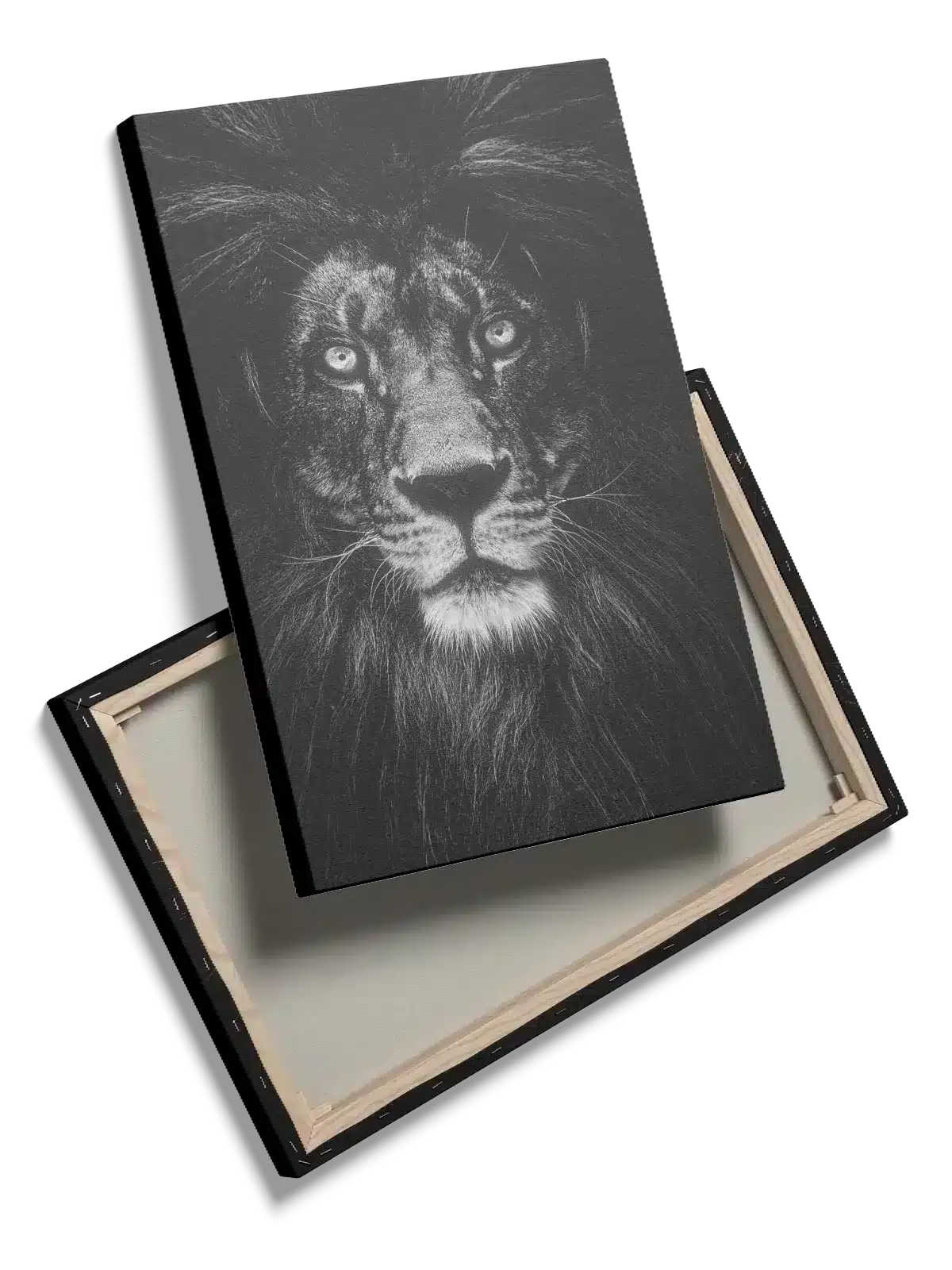 Black Lion Plakat