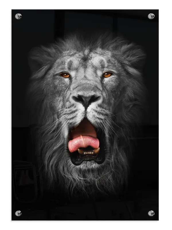 Lion Face Plakat