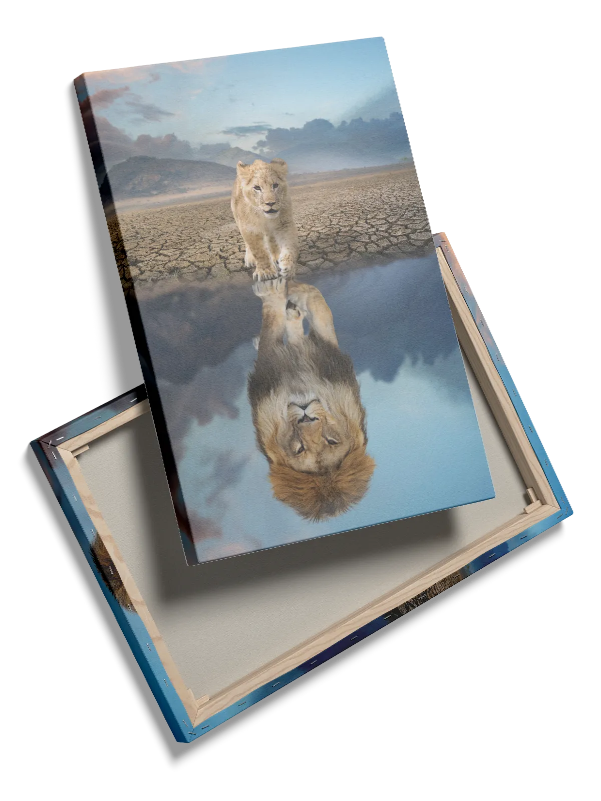 Lion Cub Reflection Plakat