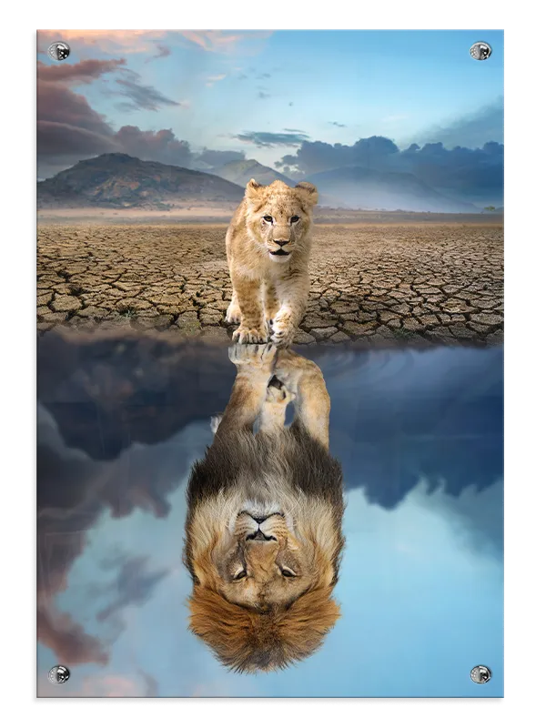 Lion Cub Reflection Plakat
