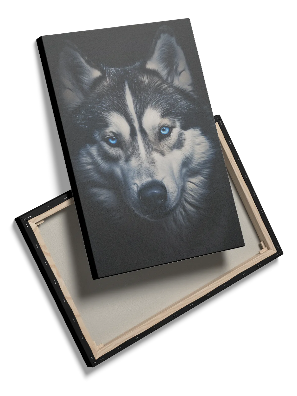 Husky Close Plakat