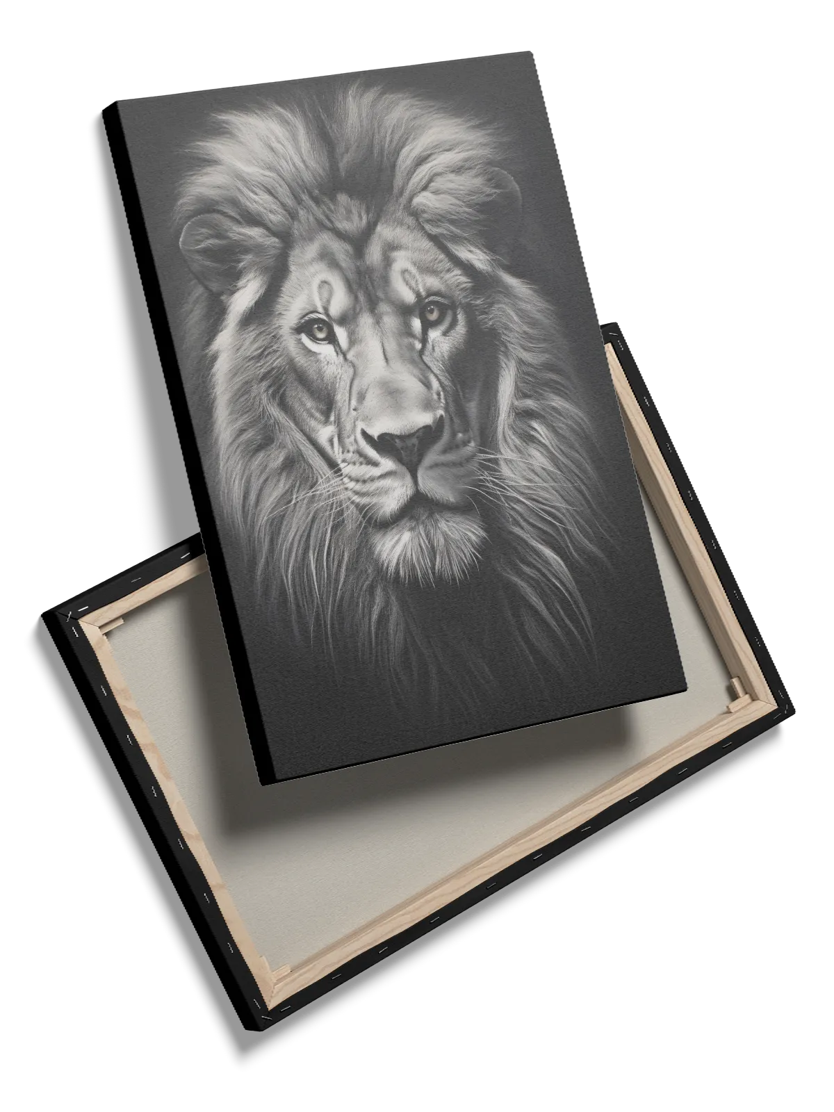 Lion Plakat