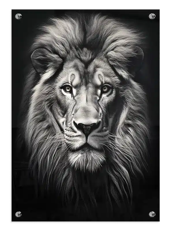 Lion Plakat
