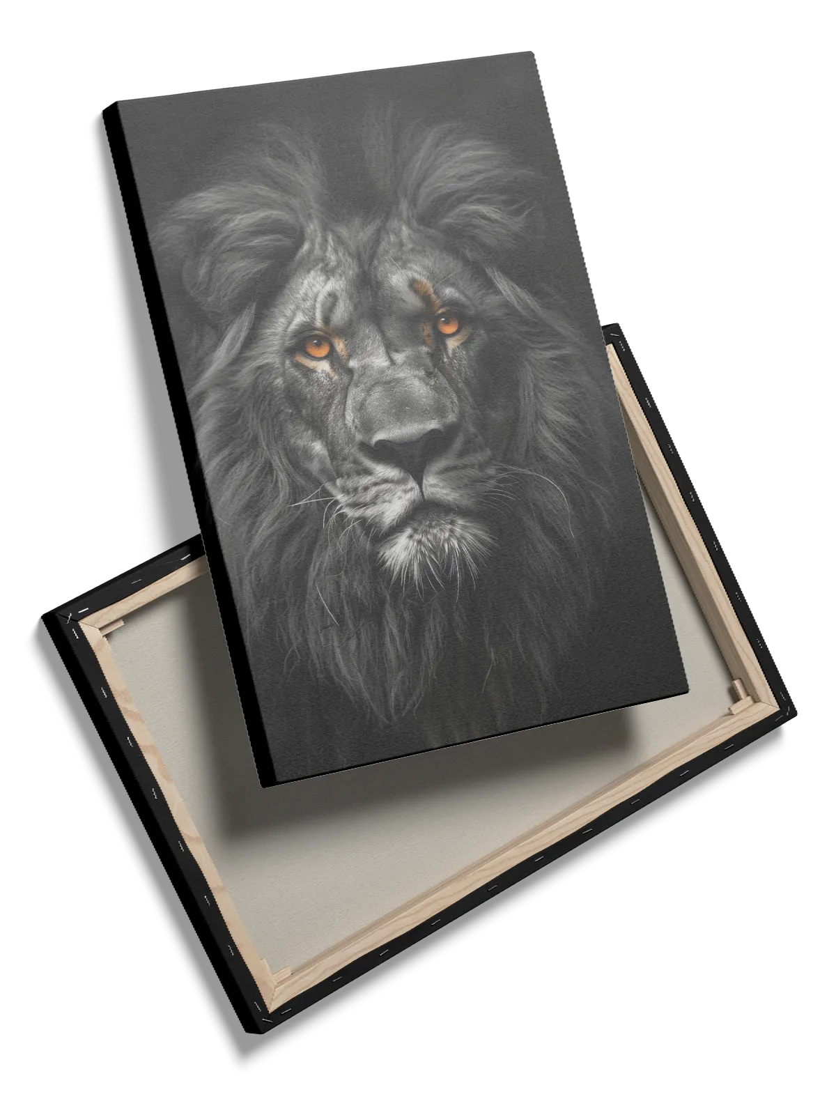 Lion Close Up Plakat