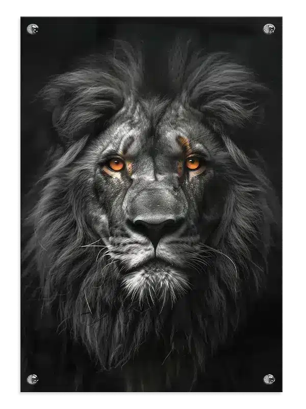 Lion Close Up Plakat