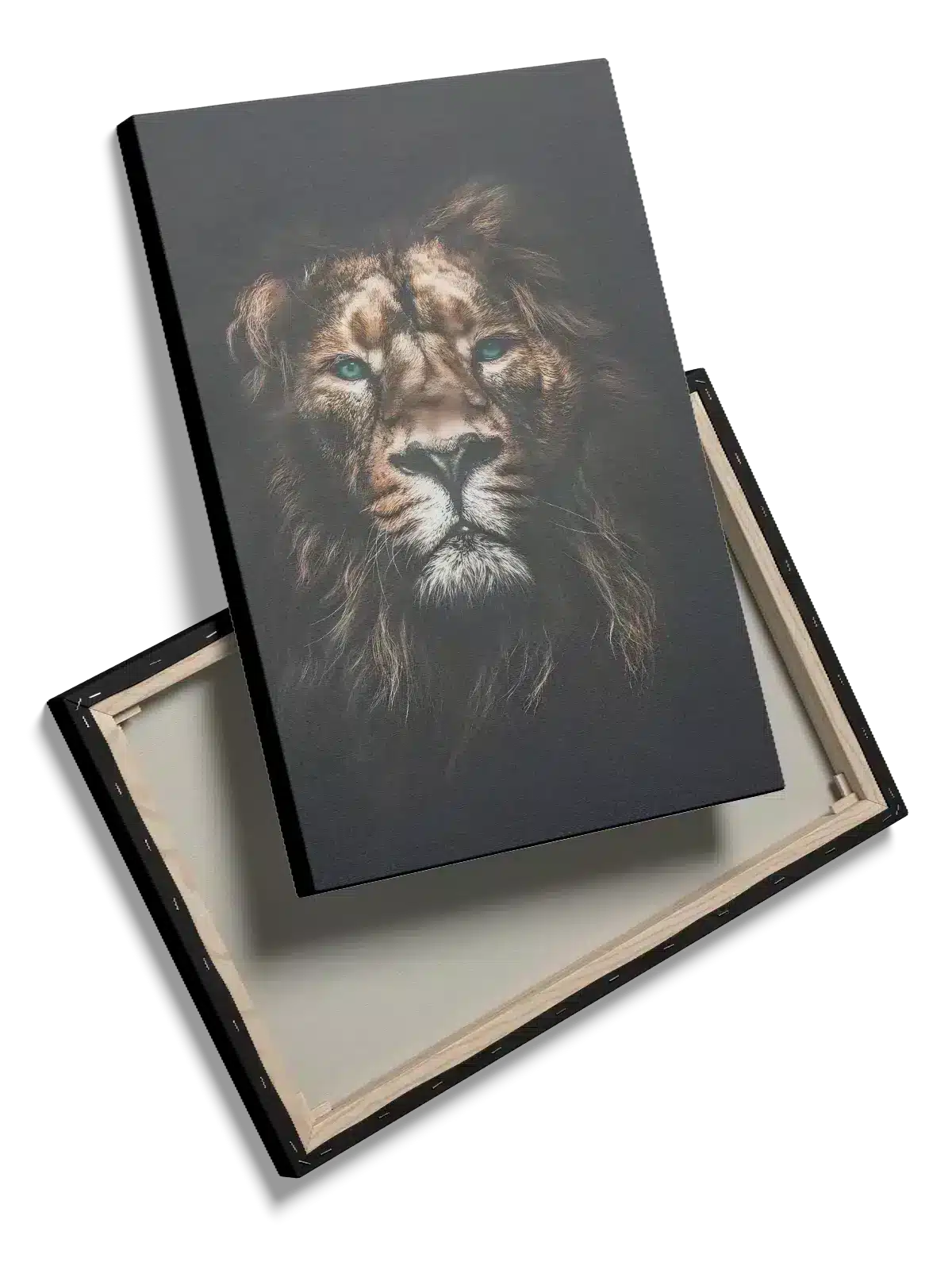 Lion Blue Eyes Plakat